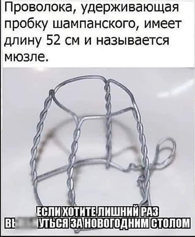 Проволока удерживающая пробку шампанского имеет длину 52 см и называется мюзле