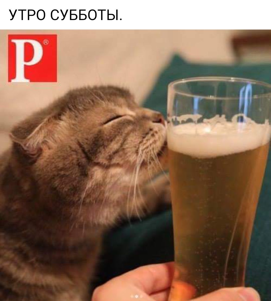 УТРО СУББОТЫ
