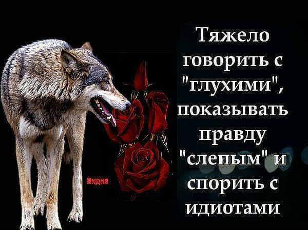Тяжело говоритьс ГЛУХИМИ 1 А и показывать правду слепымшд _ споритьс идиотами