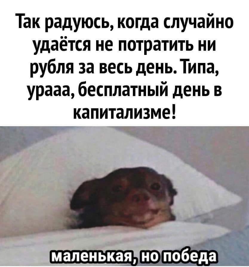 Так радуюсь когда случайно удаётся не потратить ни рубля за весь день Типа урааа бесплатный день в капитализме маленькая но победа