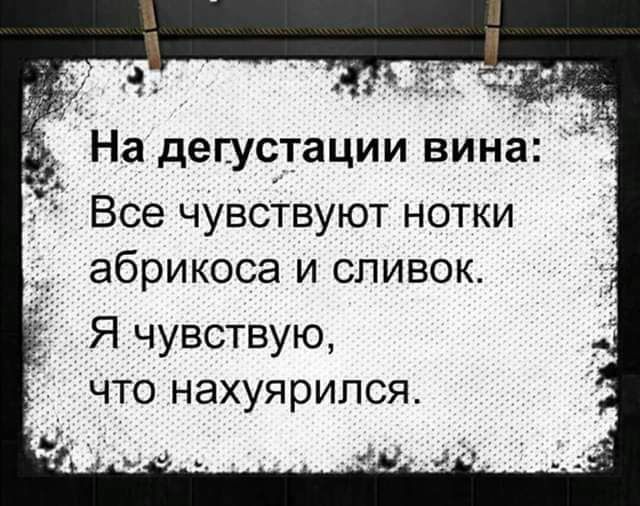 На дегустации вина Все чувствуют нотки абрикоса и сливок Я чувствую что нахуярипся