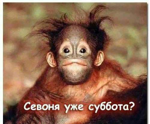 619 9 а Севоня уже суббота м