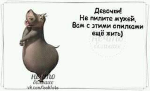 п им и шин движ и н щие пулей Вам с этими питии цб хип