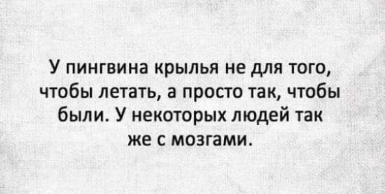 У пингвина крылья не для того чтобы летать а просто так чтобы были У некоторых людей так же с мозгами