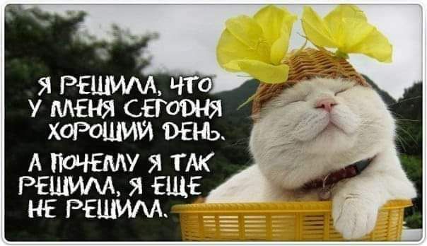 Я РЕШИАА ЧТО У МЕНЯ СЕГОЭНЯ 0 А Н ЕМУ Я ТАК РЕШИАА Я ЕЩЕ НЕ РЕЦМАА