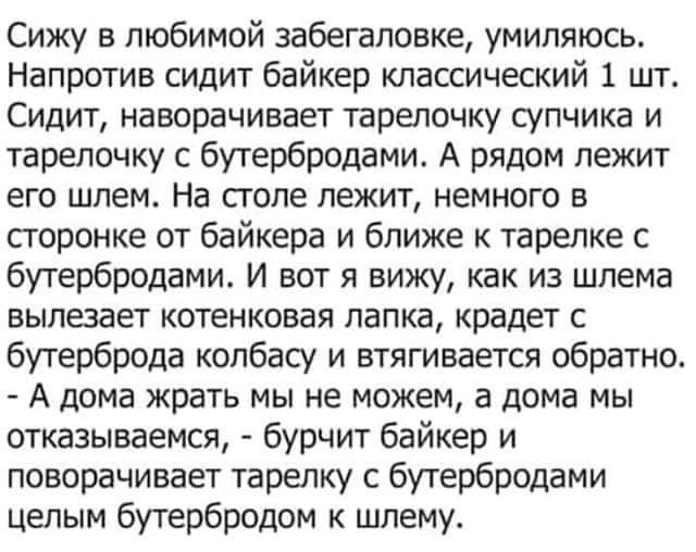 Сижу в любимой забегаловке умиляюсь Напротив сидит байкер классический 1 шт Сидит наворачивает тарелочку супчика и тарелочку с бутербродами А рядом лежит ЕГО ШПЕМ На СГОПё ЛЕЖИТ НЕМНОГО Е сторонке от байкера и ближе к тарелке с бутербродами И вот я вижу как из шлема вылезает котенковая папка крадет с бутерброда копбащ и втягивается обратно А дома жрать мы не можем а дома мы отказываемся бурчит бай