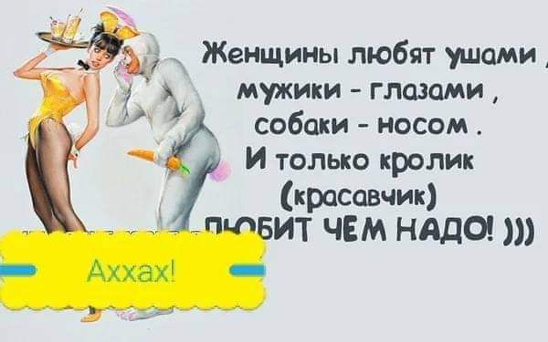 __ дд Женщины любят увидим и мужики гладит собаки носом И только кролик красавчик ИТ ЧЕМ НАДО