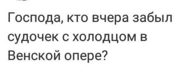 Господа кто вчера забыл судочек с холодцом в Венской опере
