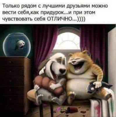 Только рядом ь лучшими друзьями ножны вести себпжаи придуроки при этом чувггвовдть себя оТПИЧНО