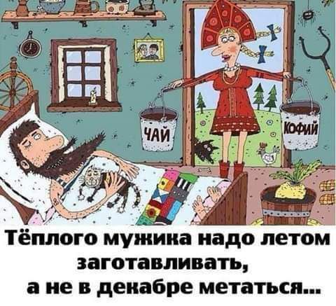 тёплого мужика надо летом заготавливать а не в декабре метаться