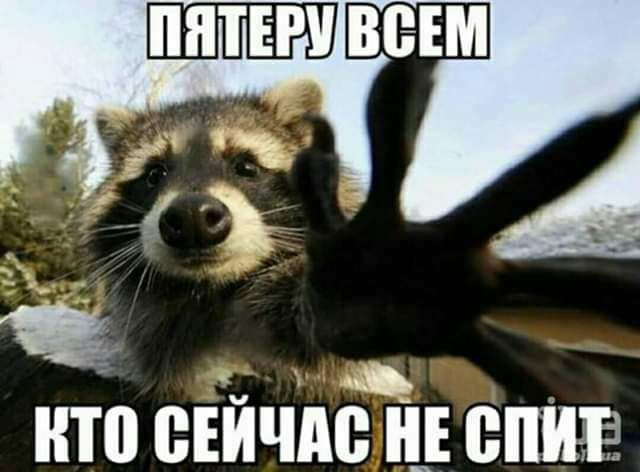 ито СЕЙЧАС Ш ВПШ