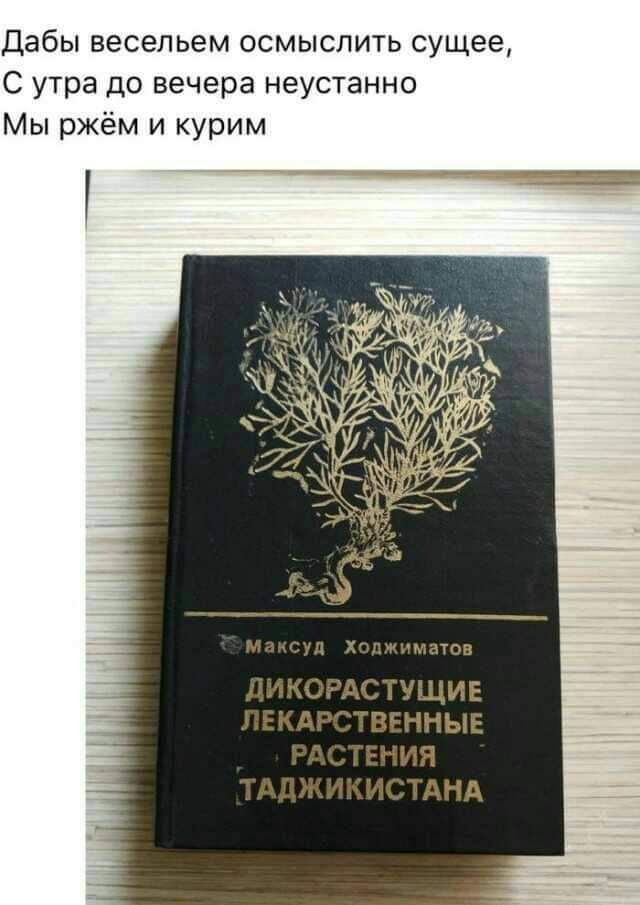 Дабы весельем осмыслить сущее С утра до вечера неустанно Мы ржём и курим