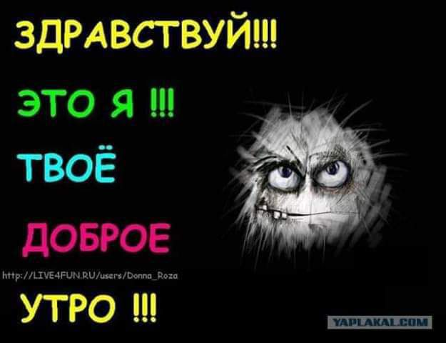 ЗДРАВСГВУЙ это я и твоё довэое утро