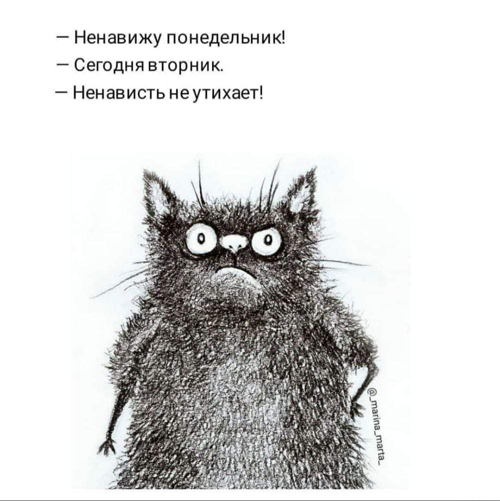 ненавижу понедельник Сегодня мерник Ненависть иеутихает