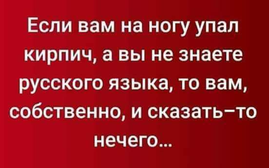 Если вам на ногу упал кирпич а вы не знаете русского языка то вам собственно и сказатьто нечего