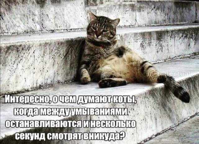 саши смотцяЩЩШДР