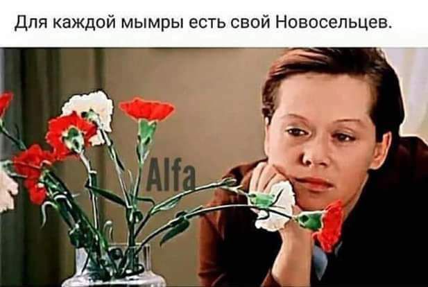 для каждой мымры есть свой Новосельцев