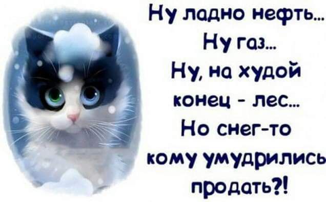 Ну ладно нефть Ну газ Ну на худой Ё конец пес 7 Но снегто кому умудрились продать