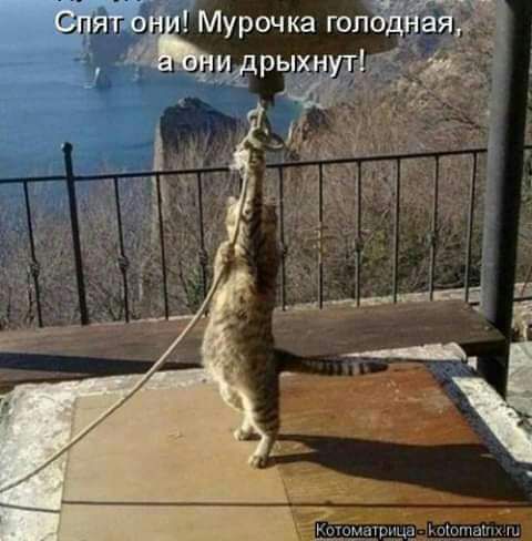 Мурочка гоп Ё