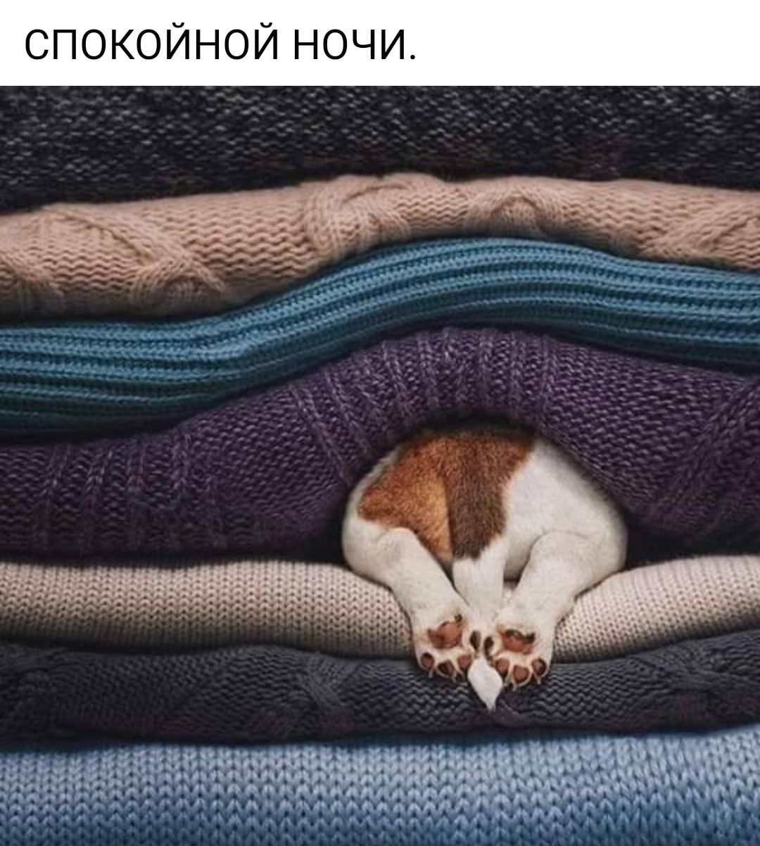 СПОКОЙНОЙ НОЧИ