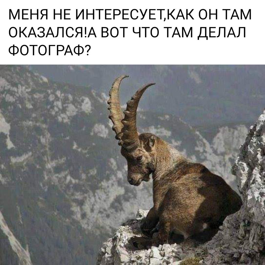 МЕНЯ НЕ ИНТЕРЕСУЕТКАК ОН ТАМ 0КА3АЛСЯА ВОТ ЧТО ТАМ ДЕЛАЛ ФОТОГРАФ