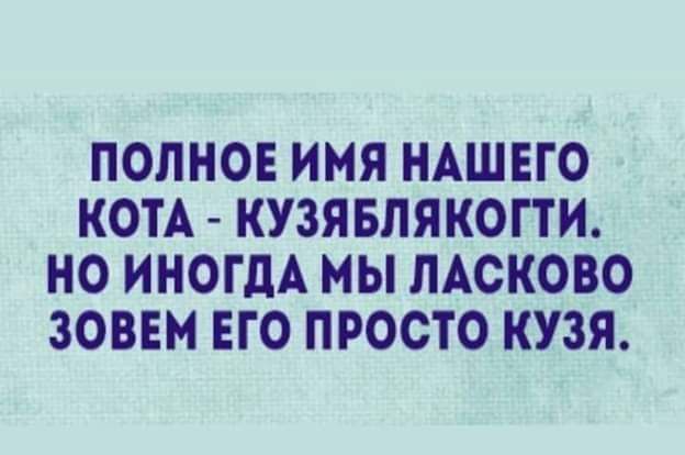 ПОЛНОЕ ИМЯ НАШЕГО КОТА КУЗЯБЛЯКОПИ НО ИНОГДА МЫ ЛАСКОВО ЗОВЕМ ЕГО ПРОСТО КУЗЯ