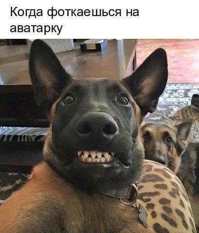 Когда фоткаешься на аватарку