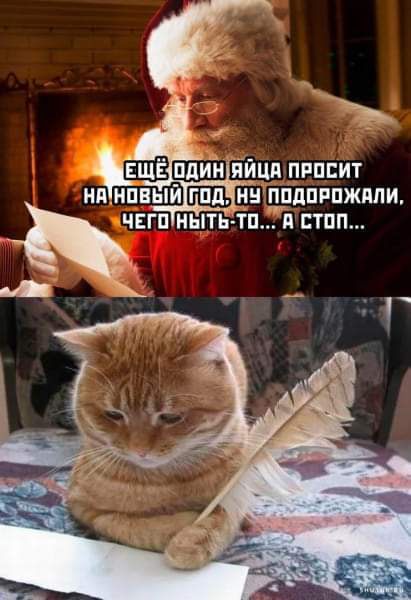 5ЩЕ ОДИНЯЙЦА ПРОСИТ нАНОВЮИсОДУНУ ПОДОРОЖАЛИ ЧЕГОТНЫТЬ ТО АСТОП