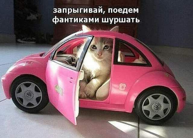 запрыгивай поедем фаитиками шуршать