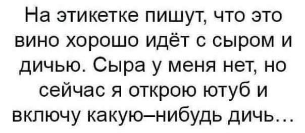 На этикетке пишут что это вино хорошо идёт с сыром и дичью Сыра у меня нет но сейчас я открою ютуб и включу какуюнибудь дичь