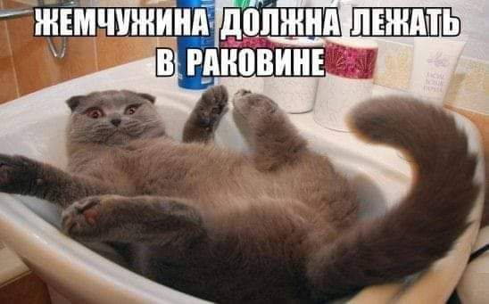 шётжщдііпЖнд миопии