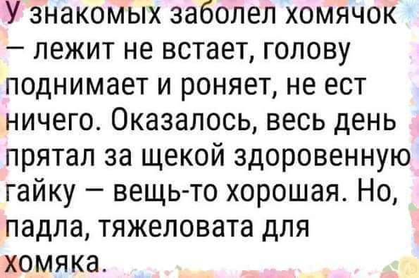 У знакомых заболел хомячок лежит не встает голову поднимает и роняет не ест ничего Оказалось весь день прятал за щекой здоровенную гайку вещь то хорошая Но падла тяжеловата для хомяка