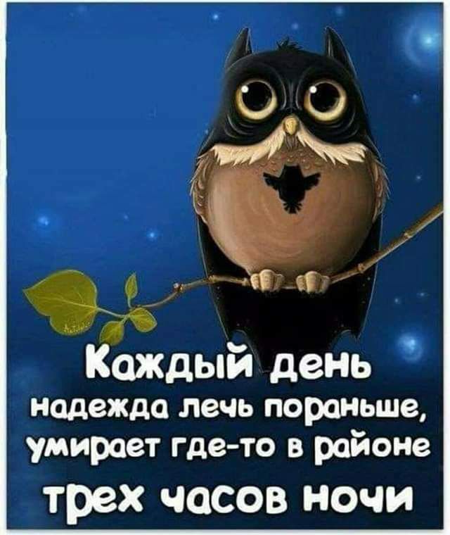 Каждый день надежда лечь пораньше умирает где то в районв трех часов ночи