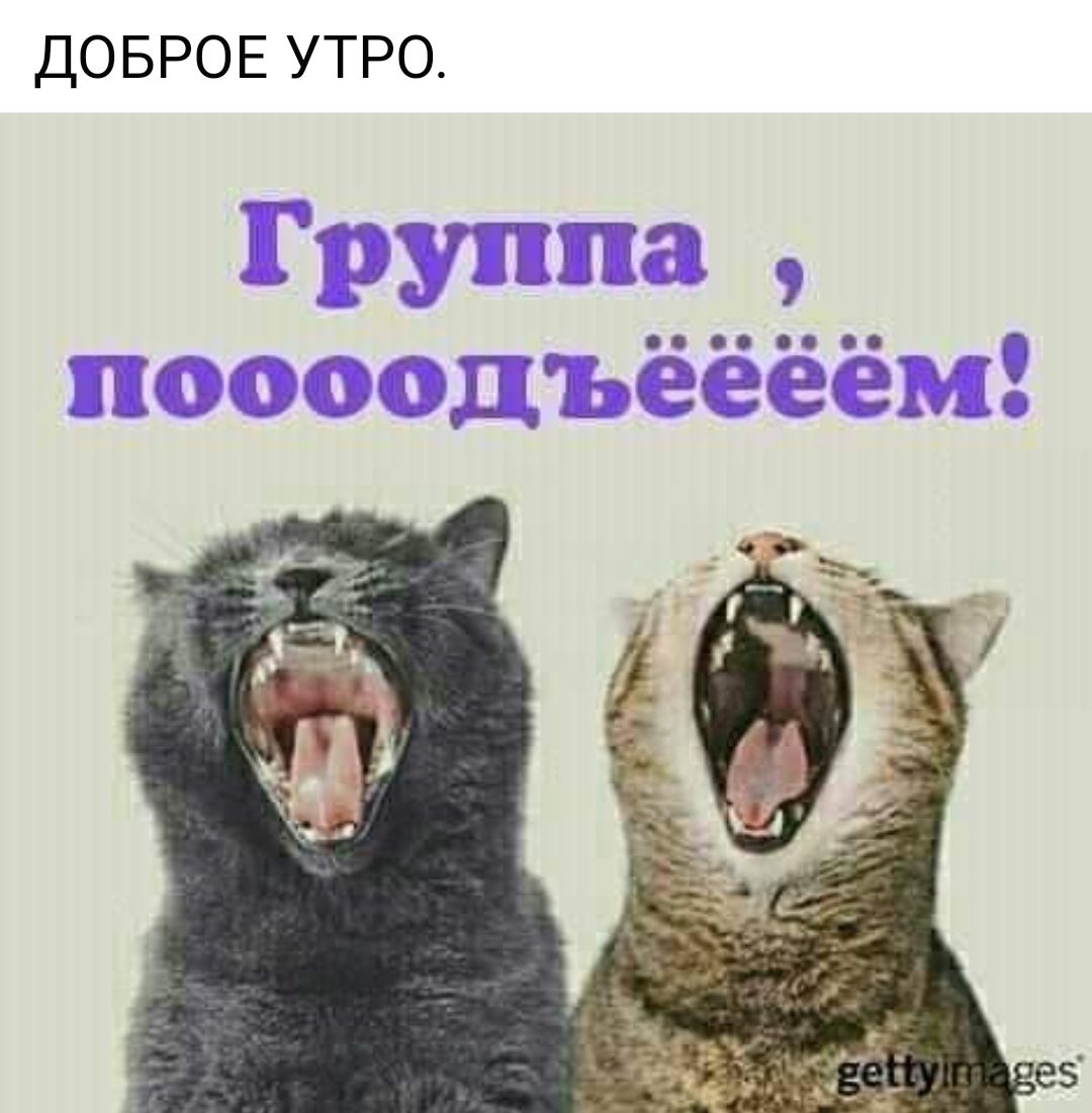 ДОБРОЕ УТРО