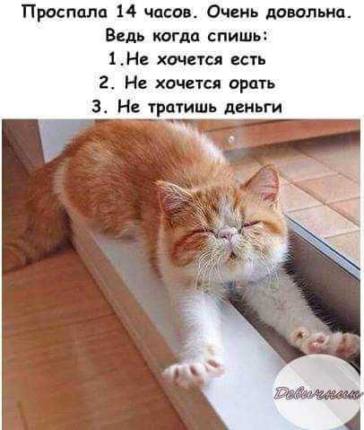 Простит 14 часам Очень дополнит Ведь кагда спишь 114 хочется есть 2 Не хочется орать тратишь деньги