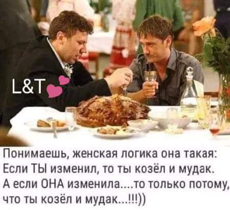 Понимаешь женская логика она такая Если ТЫ изменил то ты козёл и мудак А если ОНА изменилато только потому что ты козёл и мудак