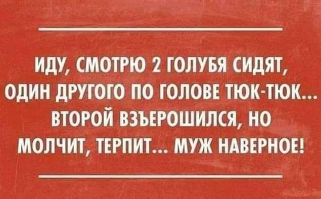 иду смотрю 2 голувя сидят один другого по ГОЛОВЕ тюк тюк второй взъегошился но молчит тъгпит муж ндвъгноъ
