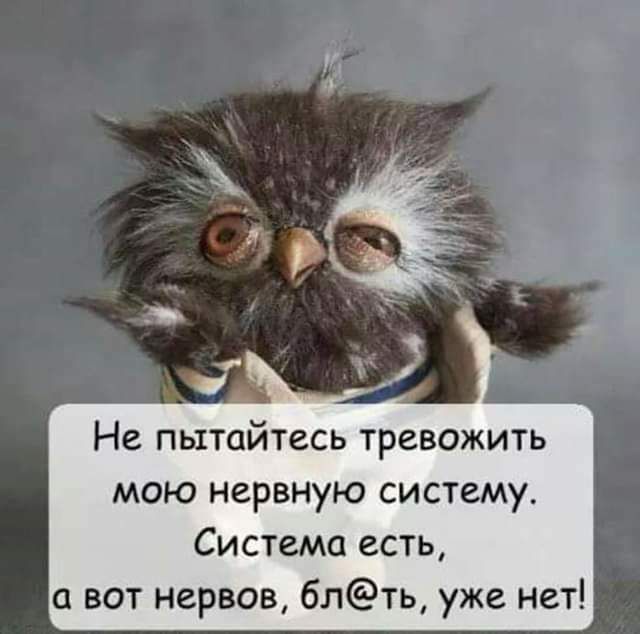Не пытайтесь тревожить мою нервную систему Система есть а вот нервов блть уже нет