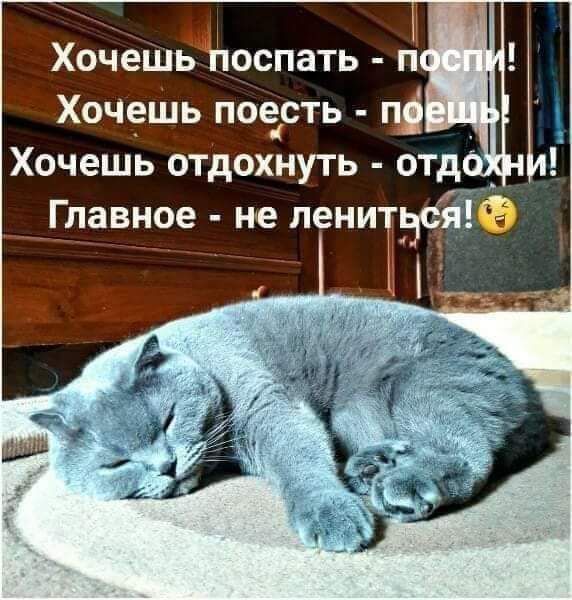 Хочщдь поесть 1 Хочешь отдохнуть отд _ Главное не лениъкдсй0 _