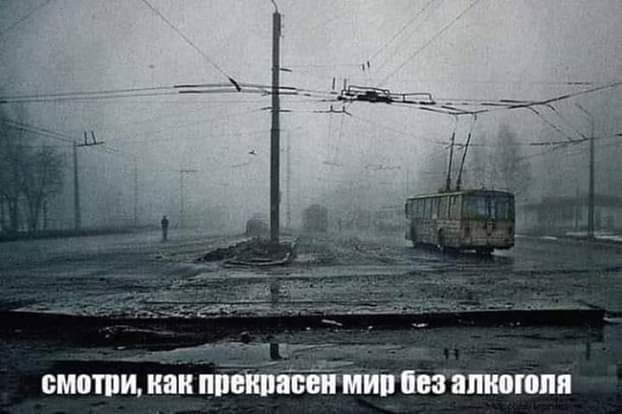 БМВШИ И штаммы ШПЮЛШ
