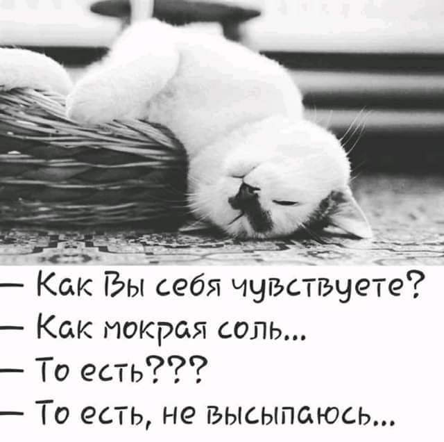 Как Бы себя ччъстъчете Как мокрая соль То есть _ ТО СТЬ не ГЬЫСЫПОЮСЬ
