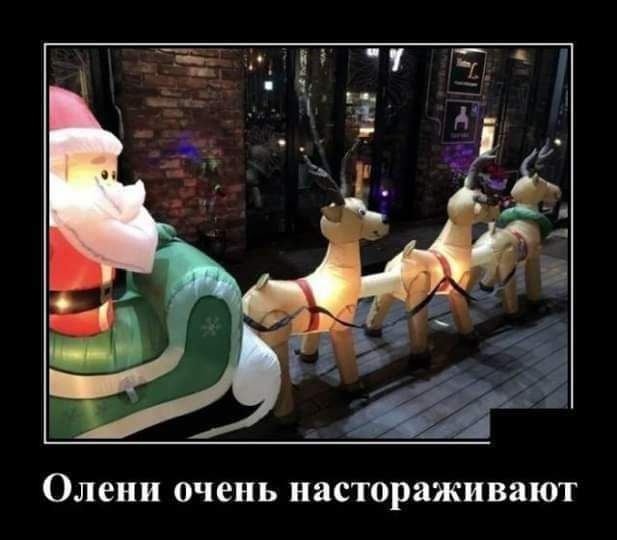 Олени очень насторажи ВЯЮТ