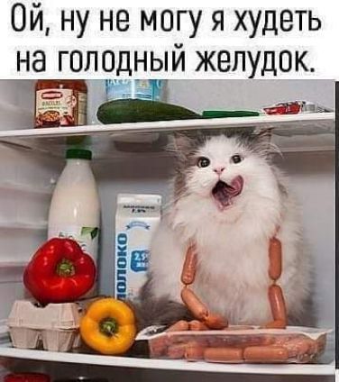 Ой ну не могу я худеть на гопощчый желудок