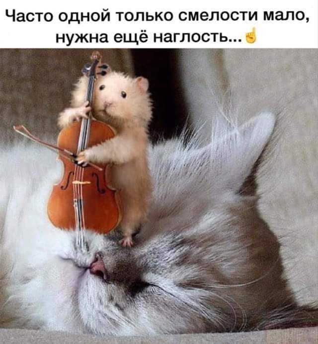 Часто одной только смелости мало нужна ещё наглость