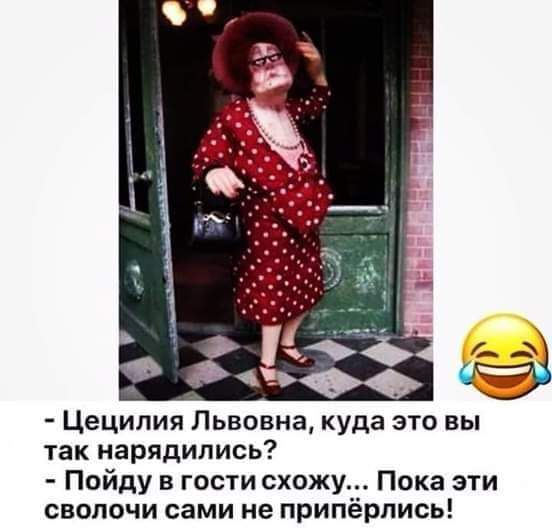 Цецилия Львовна куда это вы так нарядились Пойду в гости схожу Пока эти сволочи сами не припёрлись