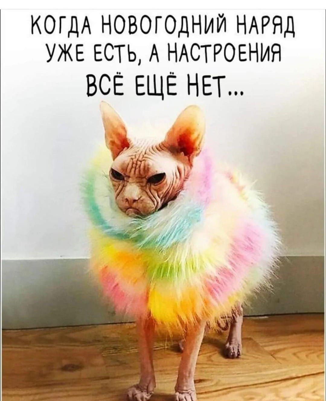 КОГДА НОВОГОДНИЙ НАРЯД УЖЕ ЕСТЬ А НАСТРОЕНИЯ ВСЁ ЕЩЁ НЕТ Гз