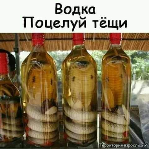 Водіш _ Поцелуи тещи