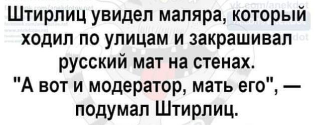 Штирлиц увидел маляра который ходил по улицам и закрашивап русский мат на стенах А вот и модератор мать его подумал Штирлиц