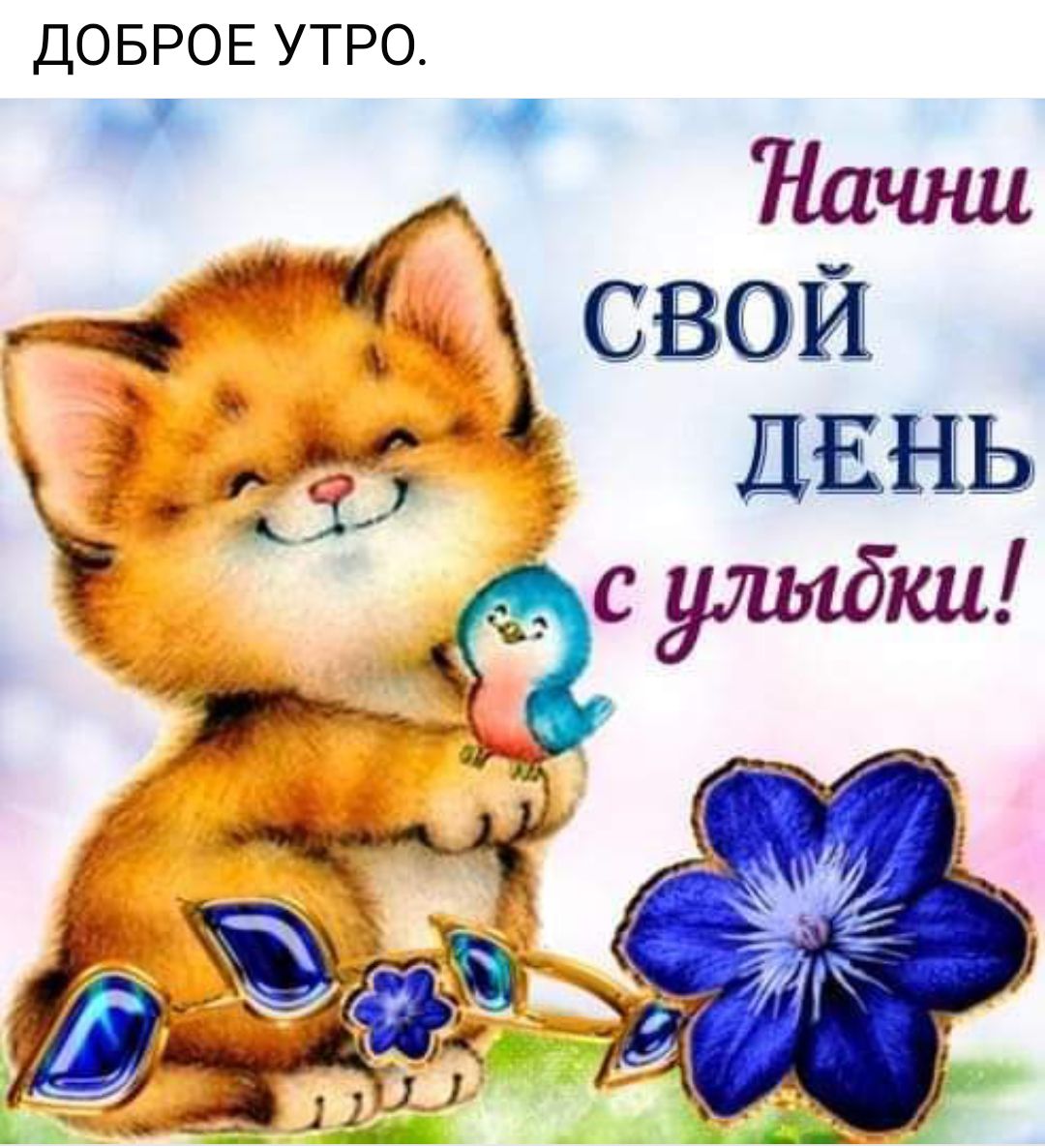 ДОБРОЕ УТРО