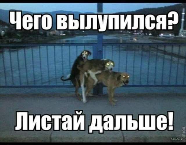 _ Чеговыщпидрпэ Листай дальше